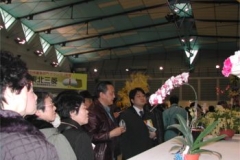 touhokuranten2008007